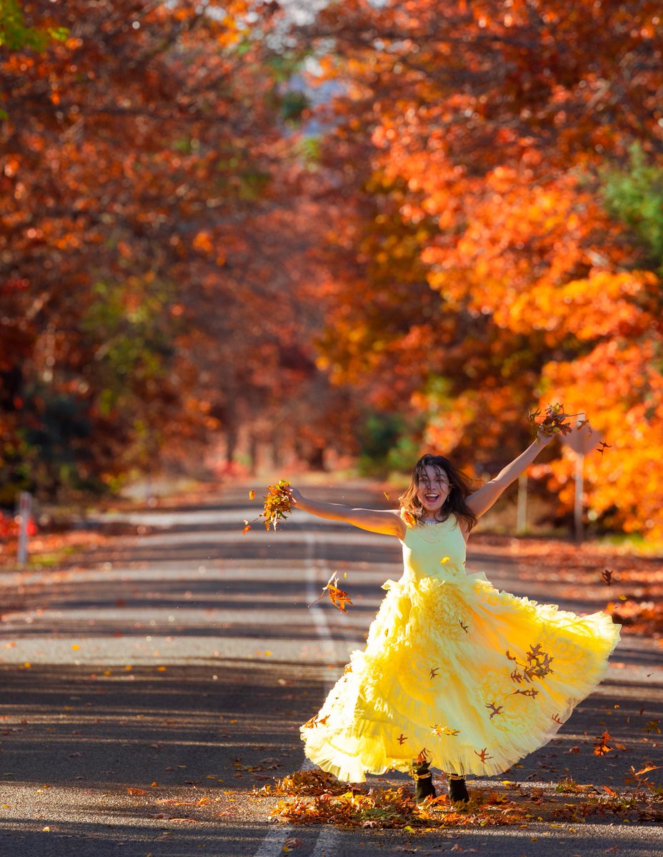Who is as excited as @SimplyCheecky, with the autumn leaves, for the end of Monday!!!
Hope you all had a good start to the new week. 🍁🍂🤣❤️

#aboutyesterday #funtimes #lovelymoment #lovelyhuman #cbrregion #autumnhues #autumnfun #yellowdress #mondayitis @visitcanberra #visitnsw