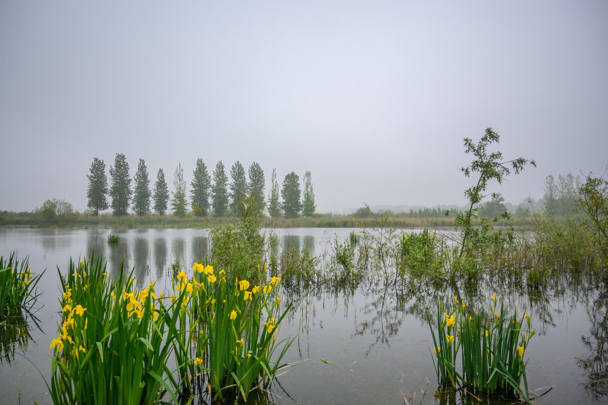 @meteobenl @MeteoredDE @MeteoWard @MeteovistaBe @HetweerinBelgie @Meteoplaza_be @DoediesZot #weerfoto #Kastel #vrtweer #NaturePhotography #nikonphotography #weatherphotography