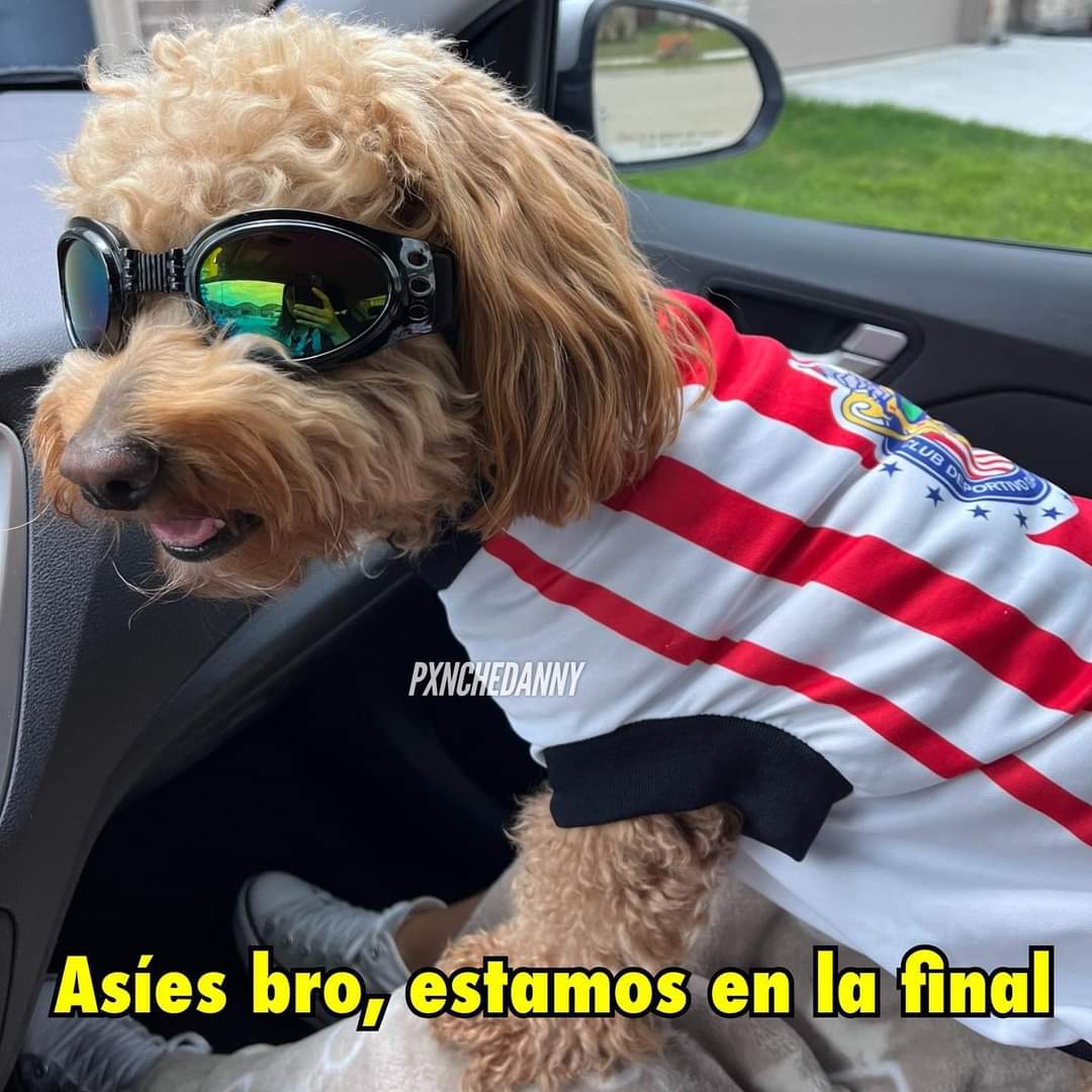 JafetUG's tweet photo. @Chivas Tqm @Chivas ❣️ https://t.co/6UXp38eaUP