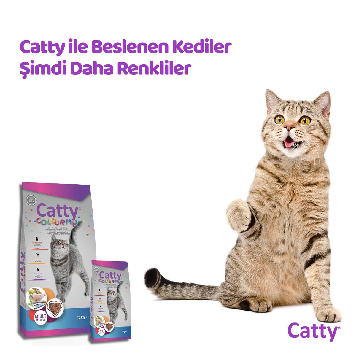 CattyCatFood's tweet photo. Catty Renkli Taneli Yetişkin Kedi Maması, kedilerin iyi bir vücut kondisyonu sağlaması ve tüm besinsel gereksinimleri karşılaması için özenle hazırlanır, kedileriniz her zaman mutlu olur.

#Catty #Kedi #KediMaması #YavruKediMaması #Cat #CatFood #CatLovers https://t.co/GE9lSCyUof