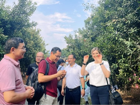 AusEmbChina's tweet photo. Our Consul-General in Chengdu was pleased to visit the Costa blueberry farm and see Australian avocados being cultivated alongside macadamia nuts at the Yunnan Tropical Plants Research Institute during her first official visit to Xishuangbanna. https://t.co/2zQzcKBcID