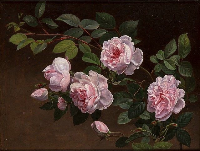 roses in art