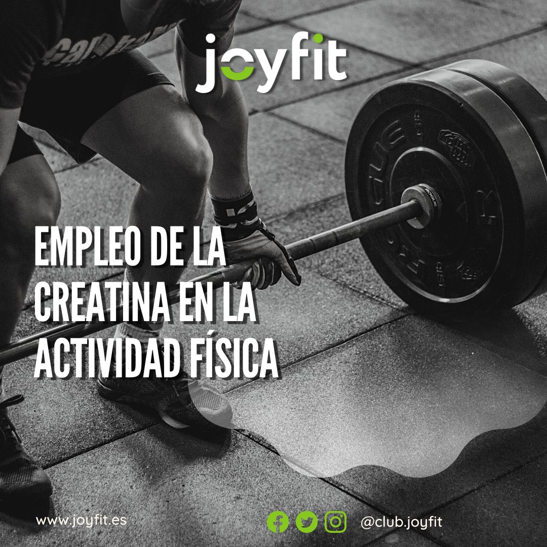 JOYFIT3CANTOS's tweet photo. En este artículo te hablamos acerca de los usos de la creatina, su funcionamiento, su seguridad y eficacia.

https://t.co/fN5ta6t8Hm

#creatina #Blog
#JOYFIT #Fitness https://t.co/lszuuMUqFh