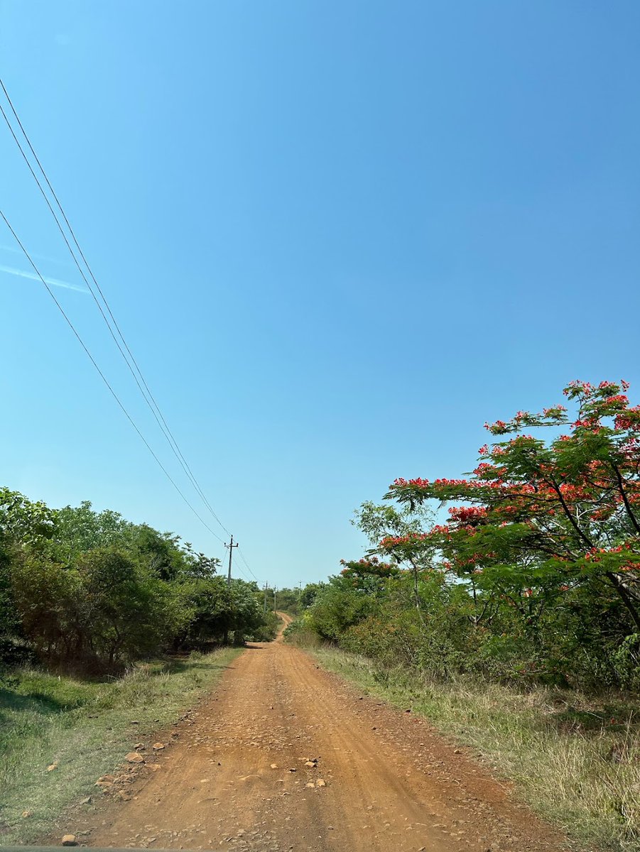 Blackbuck resort, Bidar is a good weekend getaway for Hyderabad residents. 2 hr drive from Patancheru ORR exit. Lush green forest. Blackbucks, peacocks, monkeys and whole lot of birds. Good facilities at resort. Bidar also has nice places to see. #Hyderabad #Karnataka #Travel