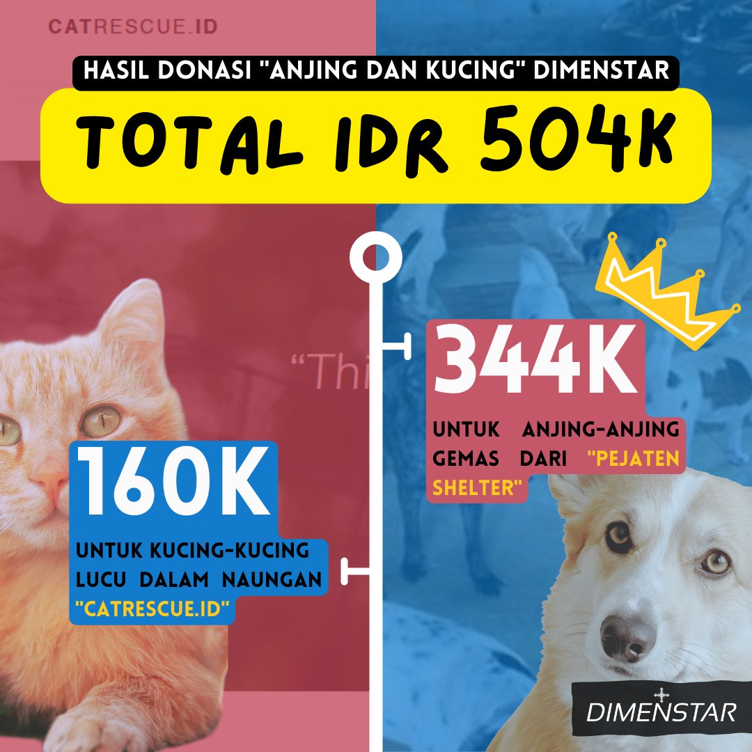 DIMENSTAR |Official Account| tweet media