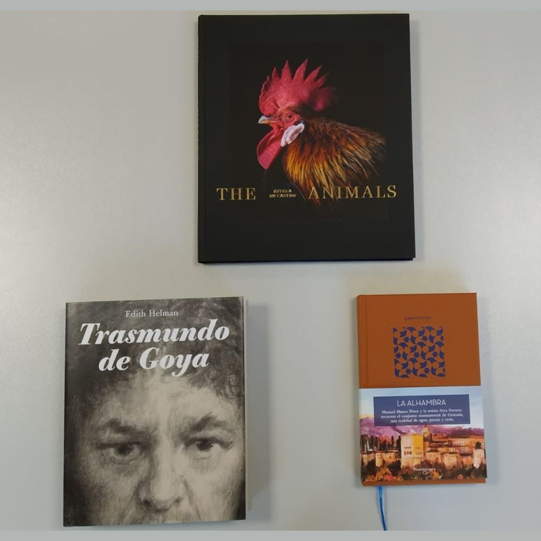 Obras premiadas en la categoría de Libros de Arte: 
🥇 "The Animals", editado por <a href="/la_fabrica/">La Fábrica</a> con la colaboración de <a href="/photoespana/">PHotoESPAÑA</a> 
🥈 "Trasmundo de Goya", editado por Media Vaca
🥉 "La Alhambra", editado por <a href="/unatintablanca/">Tintablanca Libros</a>