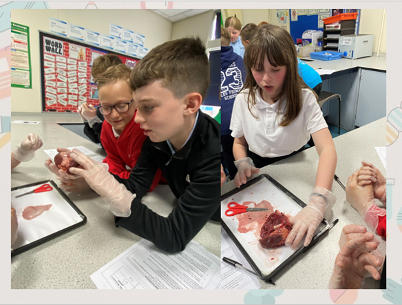 WHS Science tweet media