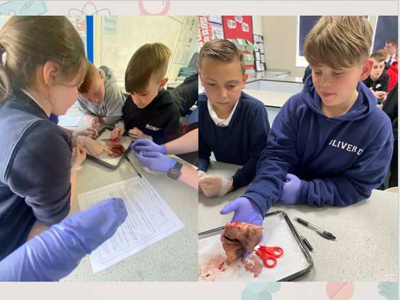 WHS Science tweet media