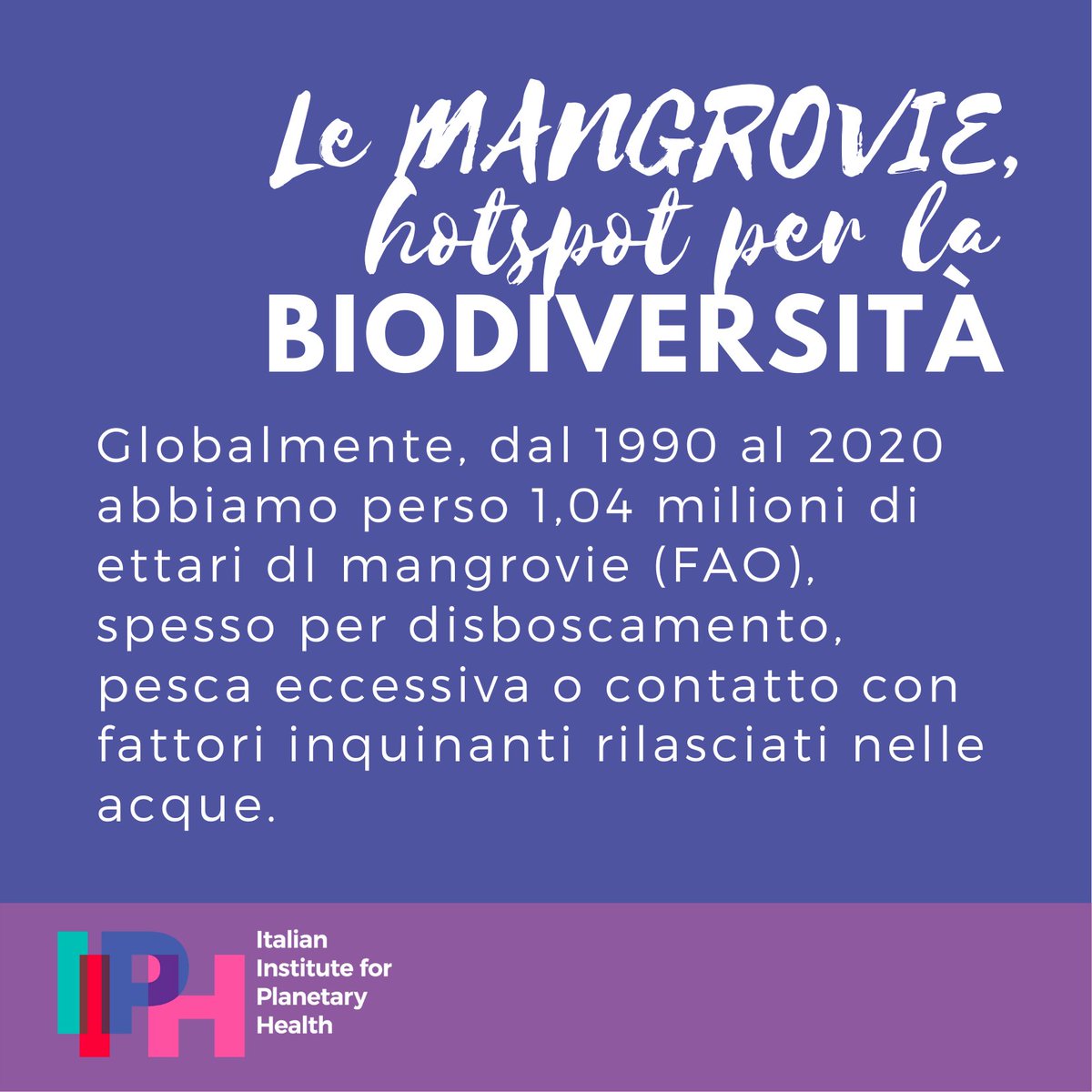 ii4ph's tweet photo. La Giornata mondiale della biodiversità è una giornata istituita nel 2000 dall'Assemblea generale delle Nazioni Unite per celebrare l'adozione della Convenzione sulla Diversità Biologica.

Oggi parliamo di #mangrovie, che rappresentano un hotspot per la #biodiversità . https://t.co/DyP6pD7Br8