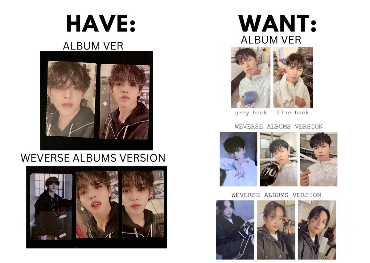 pap4gowon's tweet photo. WTT FML ALBUM SEVENTEEN 

HAVE: SCOUPS ALBUM AND WEVERSE VERSION
WANT: VERNON ALBUM // JEONGHAN ALBUM &amp; WEVERSE VERSION

#pasarseventeen #pasarseventeenmy #pasarsvt @PasarSeventeen https://t.co/iXYBKwEfdQ