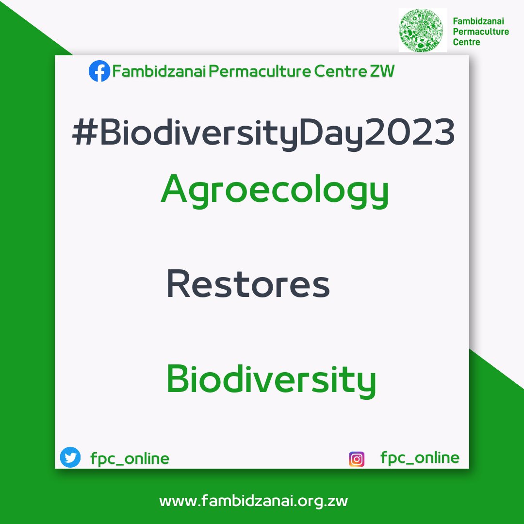 🌿🌱From agreement to action: build back biodiversity🌱🌿#Now is the right time to act upon restoring #biodiversity

Agroecology can help to restore biodiversity as it optimises diversity, sustainable food and agricultural systems #BiodiversityDay2023 @Afsafrica @AgroecologyMap