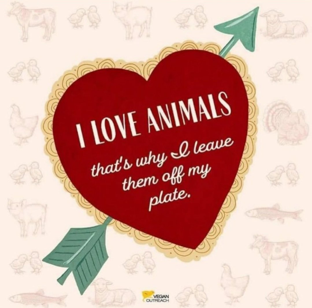 DandelionJolene's tweet photo. Have a cruelty free day 🐷✌

#love #bacon #prolife #bodybuilder
#ai #cosmetic #wildlife #fashion #climatecrisis #kindness #healthyfood #depression #animallover #mother #babies #milk #cheese #cow #dairyfre #health #nature #compassion #fishing #fish #yoga #hunting #birds #exvegan https://t.co/1z6w3JvamN