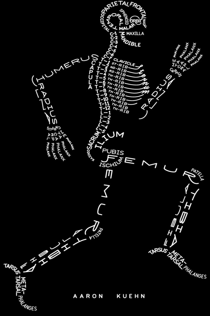 design_PRN's tweet photo. Design Porn - Anatomy https://t.co/97zetbMROH