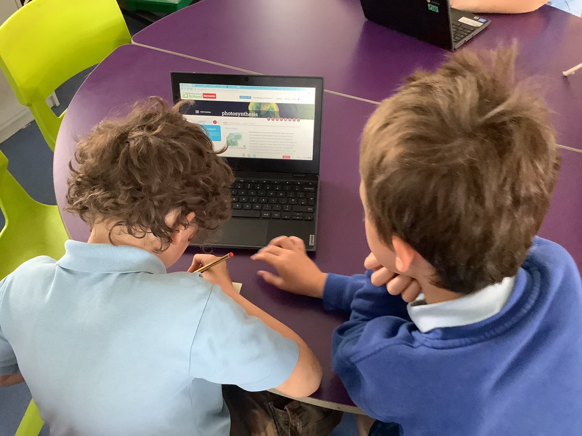 llanrhidianp's tweet photo. #LlanPysgodyn enjoying their challenge reading of what is photosynthesis by researching on @Britannica on Hwb? What do you need for photosynthesis to happen? Why is it necessary for plants? #LlanSci #LlanDCF #LlanLit 🌈🏴󠁧󠁢󠁷󠁬󠁳󠁿☘️🌳🍃 https://t.co/tPQz7YBlZk