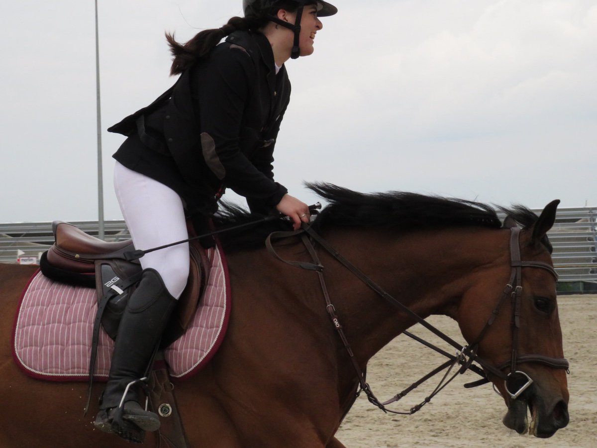 this_is_camcam's tweet photo. 🏅🫶🏻
•
1er sans faute aux Écuries de Moncontour ce week-end avec ma merveilleuse Hantix ❤️‍🔥
•
#HANTIX #angloarabe #cso https://t.co/0jrdEA1ob6