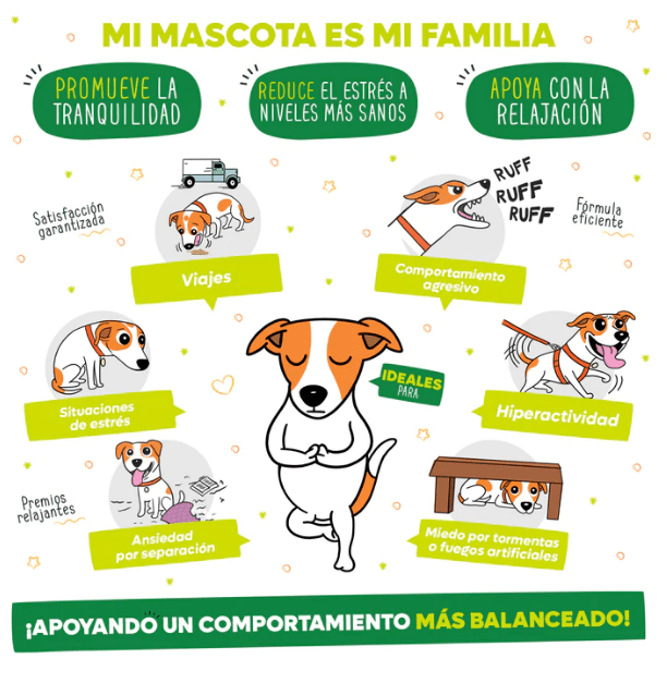 #MascoTips Ansiedad en Perros: Contrólala en 8 Pasos ift.tt/AipwW7B