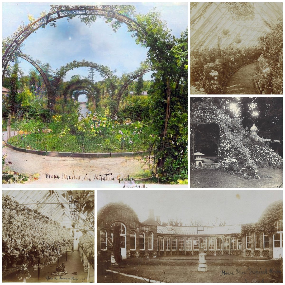 The Chelsea Flower Show has begun! To celebrate all things gardeny we thought we’d share a new deposit of records we’ve received concerning Inwood House, Henstridge. Stay tuned for further posts throughout the week… #GardenHistory #GardenTwitter #Henstridge #ChelseaFlowerShow