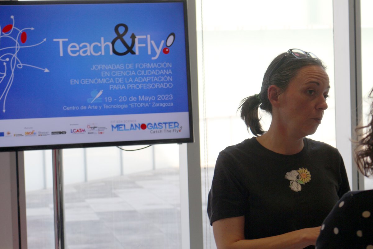 LCATMon's tweet photo. La 4ª edición #TeachAndFly #MelanogasterCTF #CienciaCiudadana @GonzalezLab_BCN @LCATMon  ha sido un éxito!
Gracias al profesorado de #Granada #Baza #Tomelloso #Asturias #Madrid #Catalunya #Zaragoza #Valencia #Alicante por su entusiasmo y @etopia_  @FECYT por su valioso apoyo
1/4 https://t.co/Vv5h8Itdmd