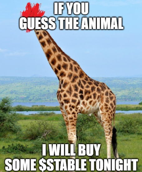 Pim117CNFT's tweet photo. $STABLE all the way!
@stablecoinada to the moon!
Guess in the comments for the right animal 👇
#ADA #Cardano #MOOOOON #100x https://t.co/xOZu0tpvTJ