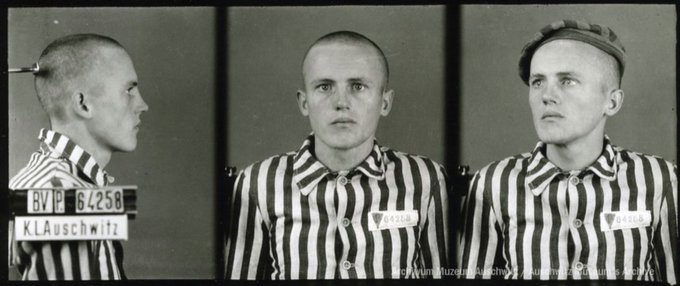 Muzeum Auschwitz tweet media