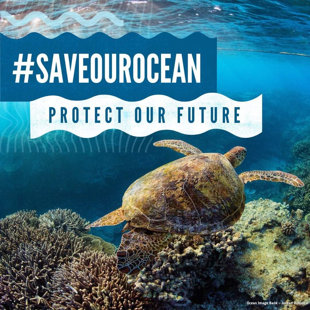 FishInitiatives's tweet image. Save our Lakes and Rivers Ecosystems for the future
#SaveOurOceans
#PlantingAmillionTrees
#AquaTreeProject
#SFAAwards23