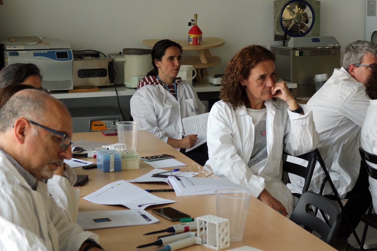 LCATMon's tweet photo. #CitizenFlyLab actualización de conocimientos para la validación experimental ciudadana de nuevas mutaciones #TEs #Transposons en Drosophila
Con @mirimerenciano https://t.co/tvdUl8OTDk