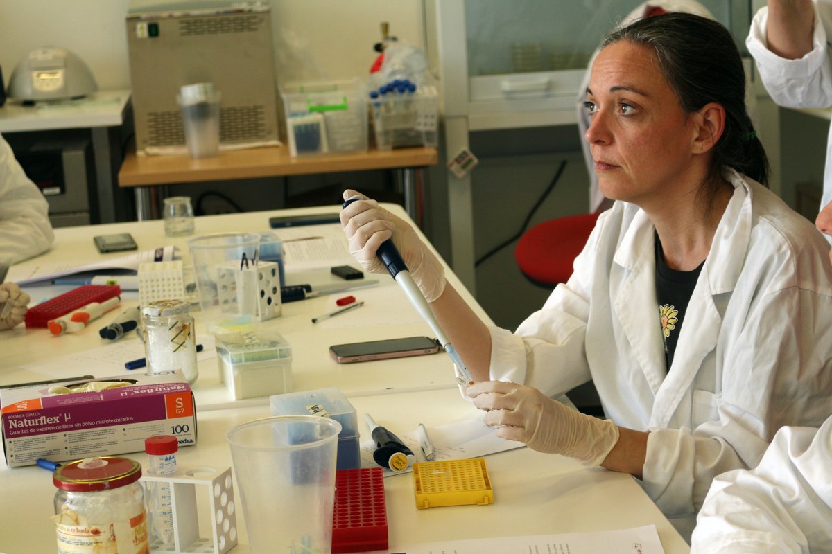 #CitizenFlyLab actualización de conocimientos para la validación experimental ciudadana de nuevas mutaciones #TEs #Transposons en Drosophila

Con <a href="/mirimerenciano/">Miriam Merenciano</a>