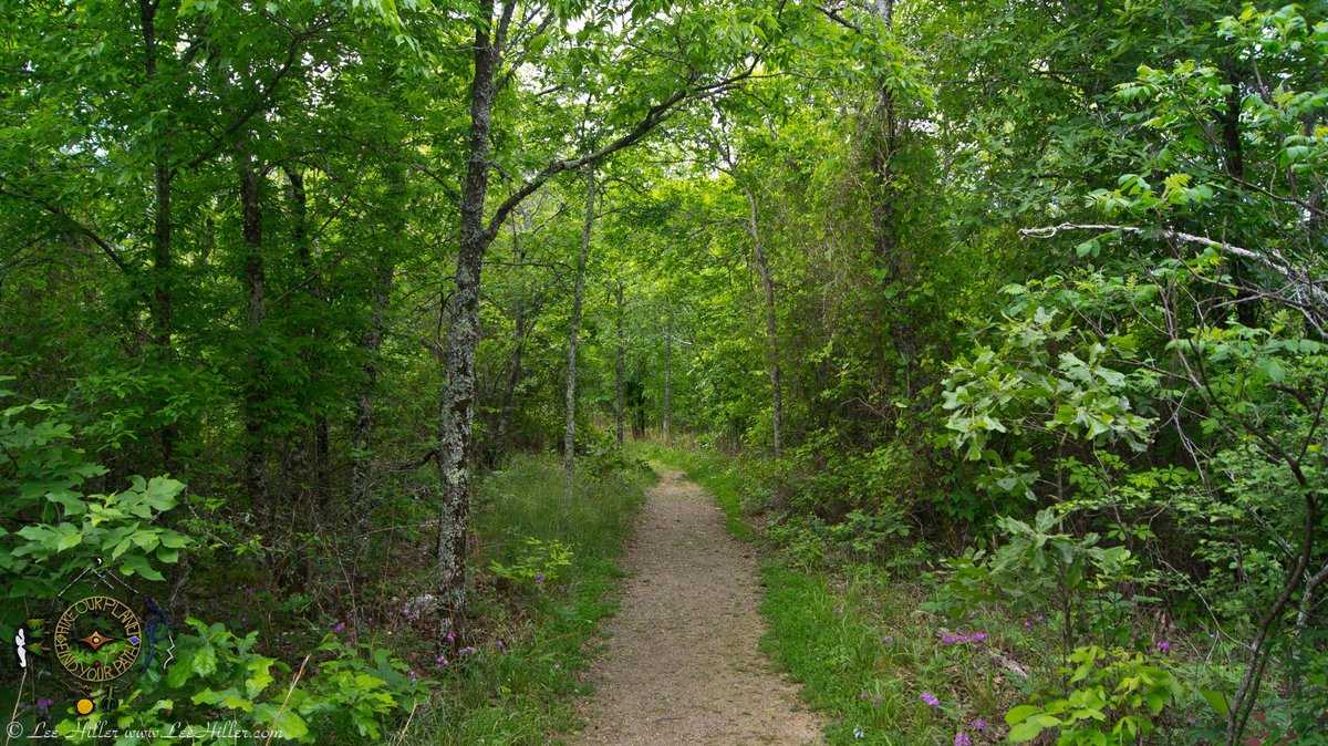 LeeHiller's tweet photo. Awaken to see the beauty of your Dreams as they unfurl upon your path. ~ @LeeHillerLondon #quotes 

#HikeOurPlanet #FindYourPath #hike #trails #outdoors #publiclands #hiking #trailslife #nature #photography #naturelovers #adventure https://t.co/6qg6WHV78h