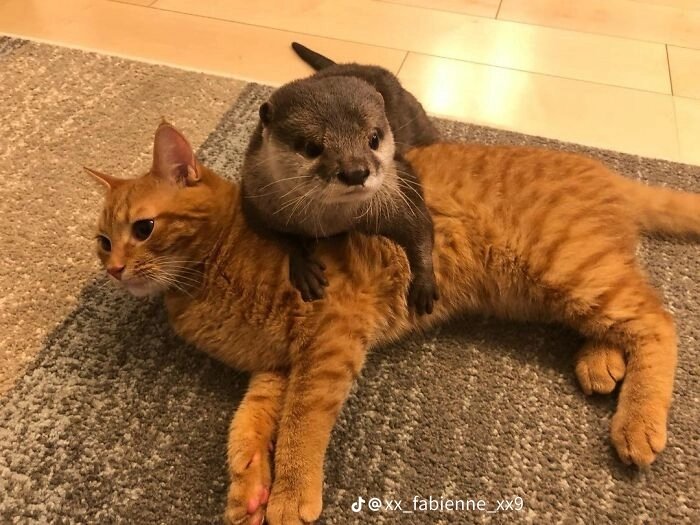 rams_ang's tweet photo. i am mentally obsessed with this image https://t.co/yotCmqjlYR