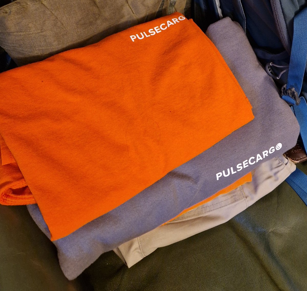 Pulse Cargo Limited tweet media