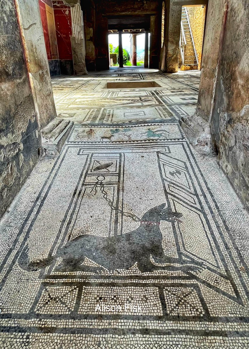 AlisonFisk's tweet photo. This c. 2000 year-old Roman guard-dog mosaic in the entrance passage of the House of Paquius Proculus was a must-see on my recent visit to #Pompeii 

So much more stylish than modern-day ‘beware of the dog’ stickers!

#MosaicMonday
#Archaeology https://t.co/EtpccA6gxJ