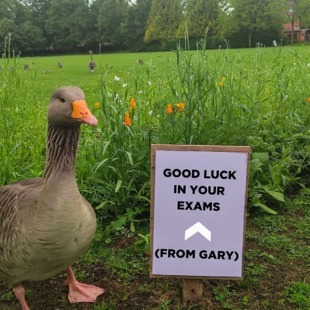 uniofglos's tweet photo. Good luck to all our students taking their exams currently! 📚🤩

We know exams can be stressful, but we believe in you! 💪 Remember, you've got this and we're here to support you every step of the way.

#TeamGlos #Exams https://t.co/DWieFE9oHL