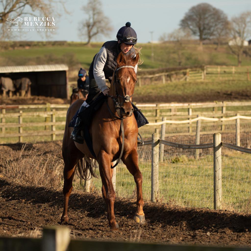 Mews House then goes in the 2.35 Blackwell Handicap at @CarlisleRaces Ridden by Kieron Schofield Good luck to owners @FlashFigsRacing #teammenzies #horsetraining #stablelife #racehorsetrainer #racehorse #jockey #horserace