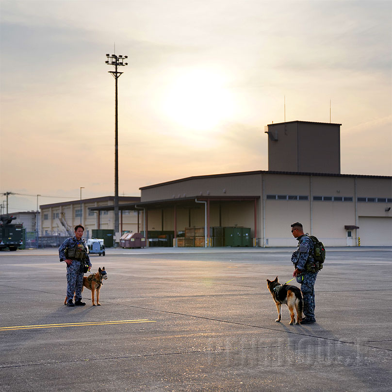 #軍犬 #軍用犬
#友好祭 #横田基地 #日米友好祭
#フレンドシップフェスティバル
#MilitaryDog #K9 #USAF
#friendshipfestival2023
#friendshipfestival #ff23
#YokotaFriendshipFestival23
#YokotaFriendshipFestival
#usairforce #USAFRA