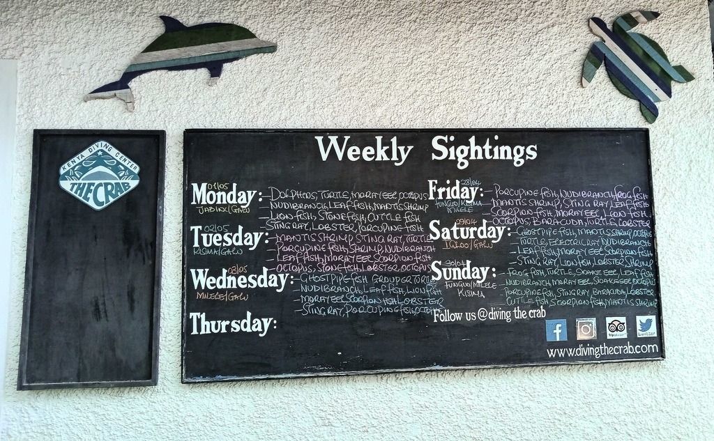 Dive into our world and discover the latest sightings at Diving the Crab!👌 Our guests love checking out the board for some serious inspiration! 🦐🌊 

#DivingTheCrab #UnderwaterAdventures #ExploreWithUs #divekenya #ocean #wildlife #underwater #scubadiving #sealife #buceo #scub…