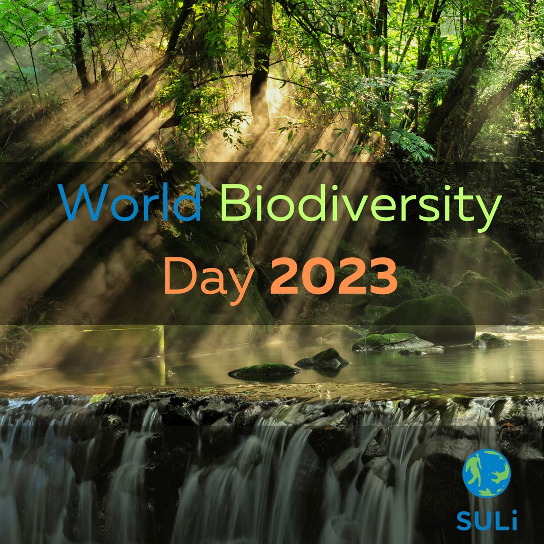 IUCNSULi's tweet photo. Today is World Biodiversity Day! 🌍🦋 Let's reflect on the beauty and importance of nature's diverse tapestry while also embracing sustainable use practices, preserving biodiversity for a thriving future. 🌿💙 #WorldBiodiversityDay #SustainableUse" https://t.co/GB0ll1Sk5G