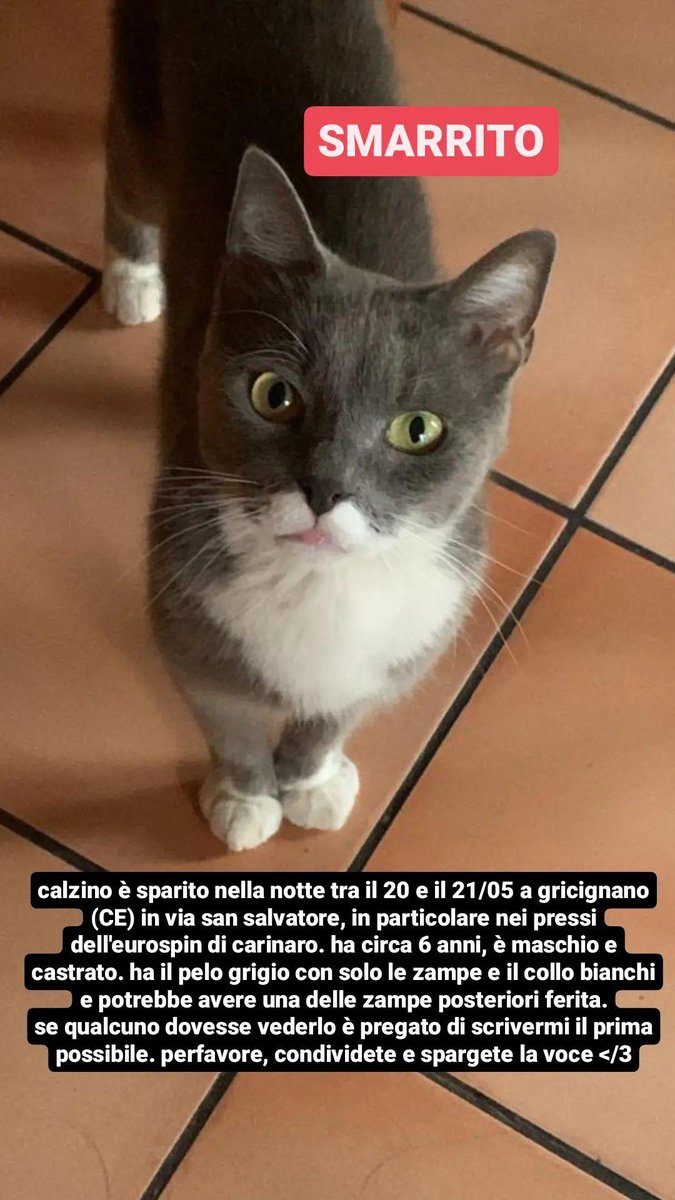 cmpltalouest's tweet photo. xfavore interagite anche solo con un like io non posso vivere senza il mio calzy https://t.co/Z8hDXSOymZ