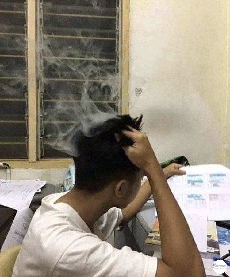 CEK PINNED! tweet media