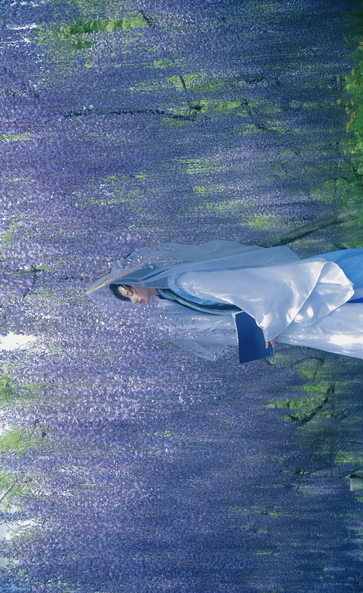 hayamikoc's tweet photo. 【 二哈和他的白猫师尊 / 师昧 】

model/ arisaさん( @anrvoc )
#hayamikocphoto https://t.co/gASbWqGOzG