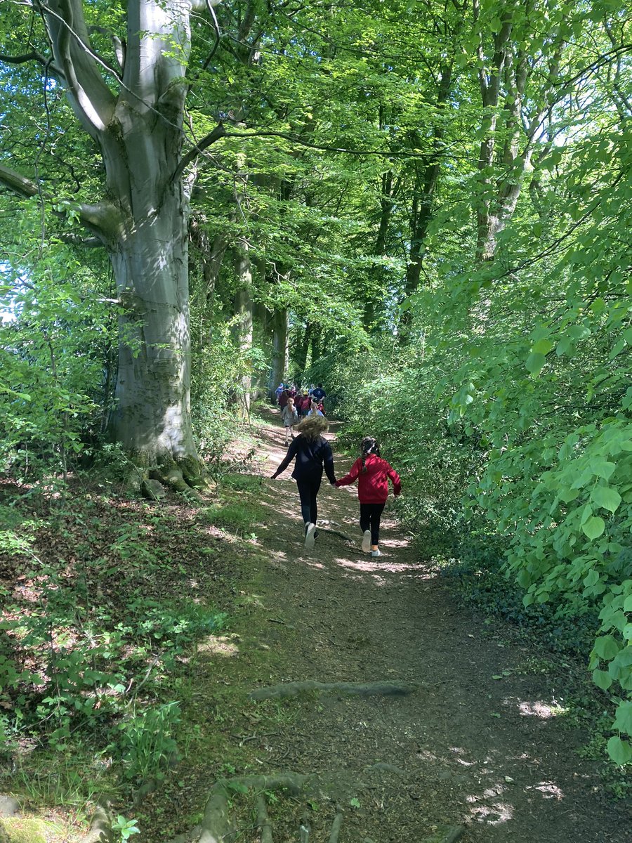 MelthamMoor's tweet photo. Our Y4 scientists have arrived @CliffeHouse for a new adventure- pond dipping with the AA Team #MMScience #MMloveoflearning https://t.co/ZfQbndVYq3