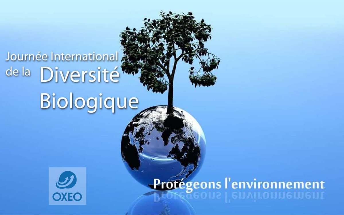 oxeo_mada's tweet photo. #OXEO #ECORESPONSABLE soutient la " JOURNEE INTERNATIONALE DE LA #BIODIVERSITE " : soyons conscients de la richesse des espèces animales et végétales pour notre Planète ! #oxeoinformatiquemada https://t.co/tu0LAnjVaJ