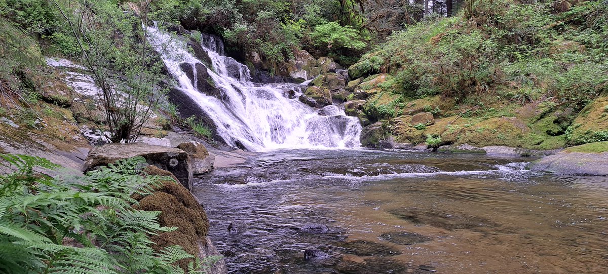 Sweet Creek Falls is a series of waterfalls in the Siuslaw National Forest, about an hour west of Eugene, Oregon. I think I found a new summer swimmin' hole.
