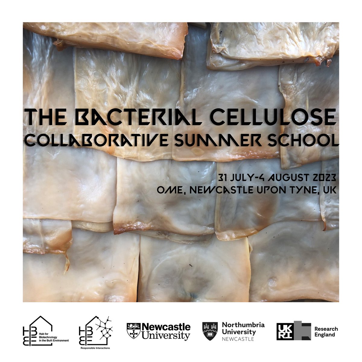 Mycology for Architecture tweet media