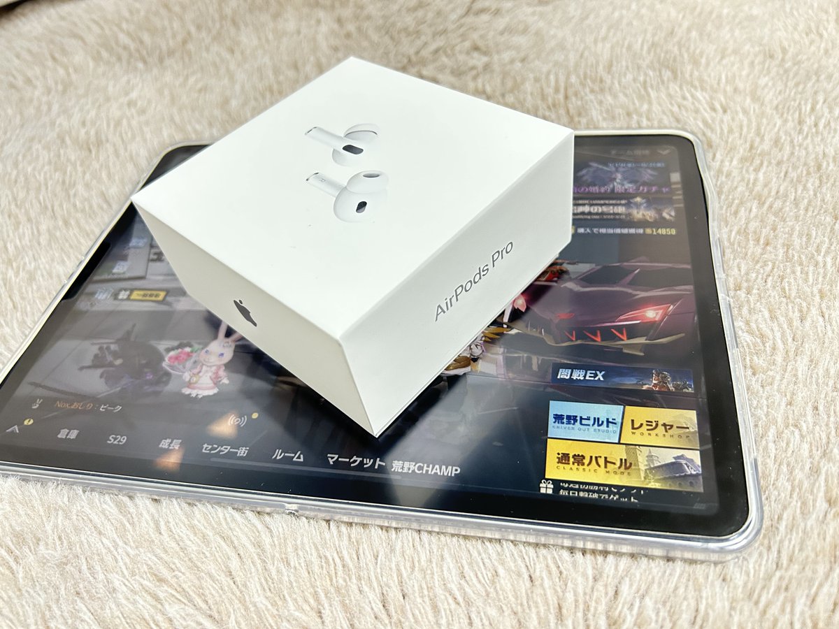 次は無くさないようにするよ
                                                   2代目