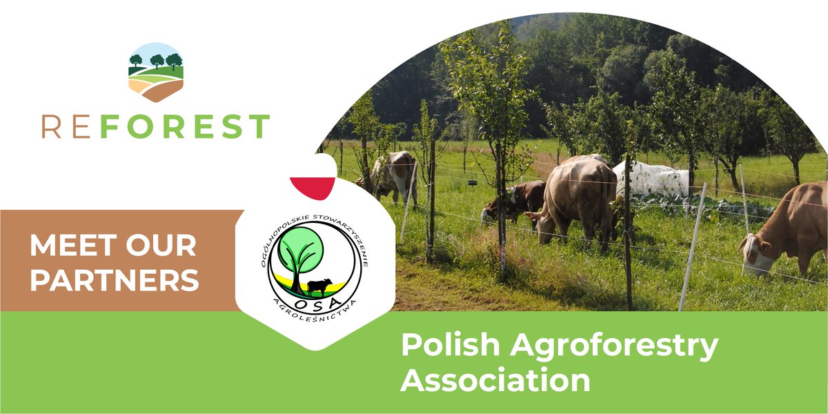 ReForestTweets's tweet photo. 🌱Meet the Polish Agroforestry Association (OSA), a key #partner  in the #ReForest project! As a main Polish organization engaged in #agroforestry, they bring to the project expertise in promoting innovations and agroecological knowledge
👉 Learn more: 🔗 https://t.co/AyuVnJwJQD https://t.co/O4llX2BMzs