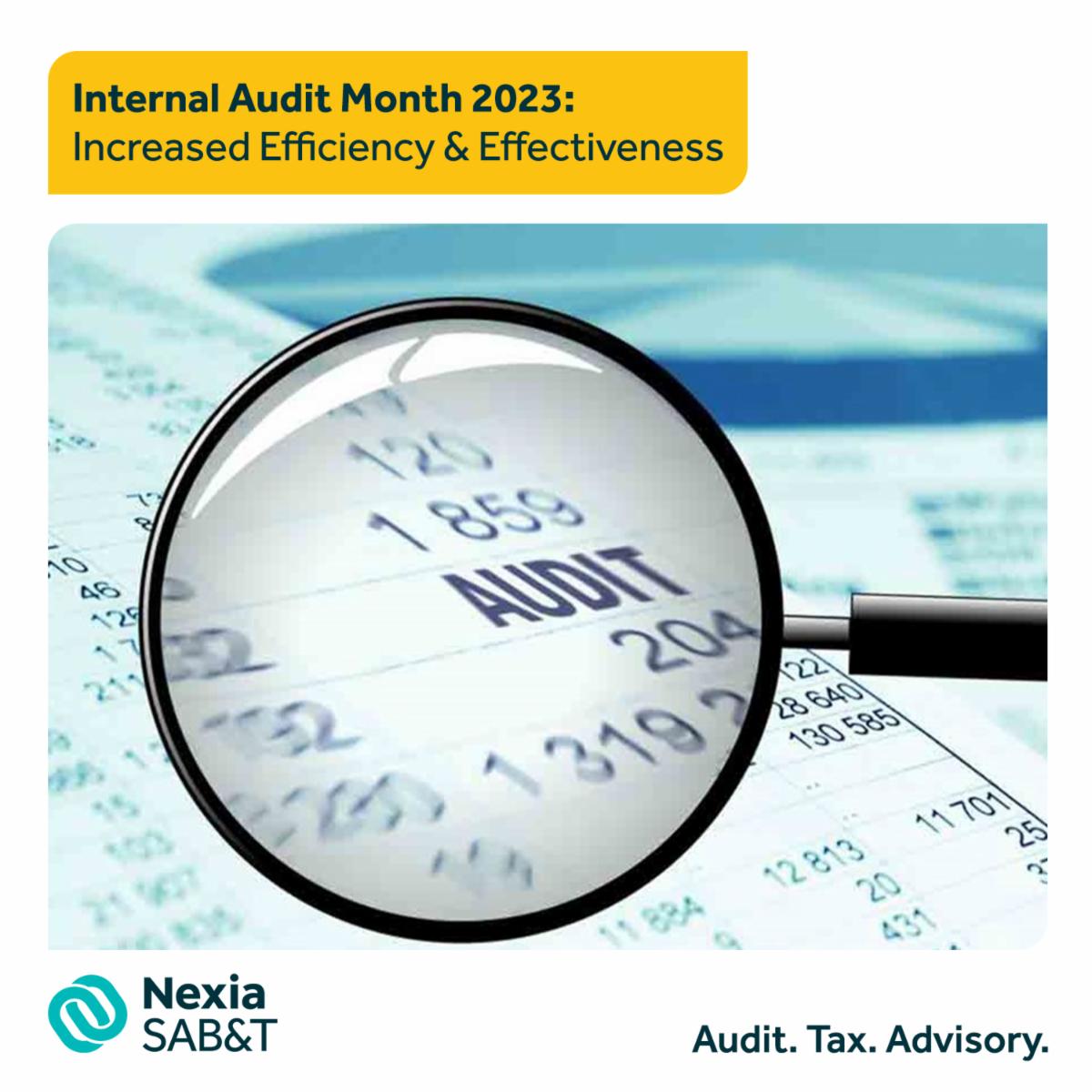 Internal audit identifies opportunities for improving business processes &amp; systems through reducing costs, enhancing operational efficiency &amp; effectiveness, &amp; improving customer satisfaction. #InternalAuditMonth #BusinessImpact #AuditHighlights