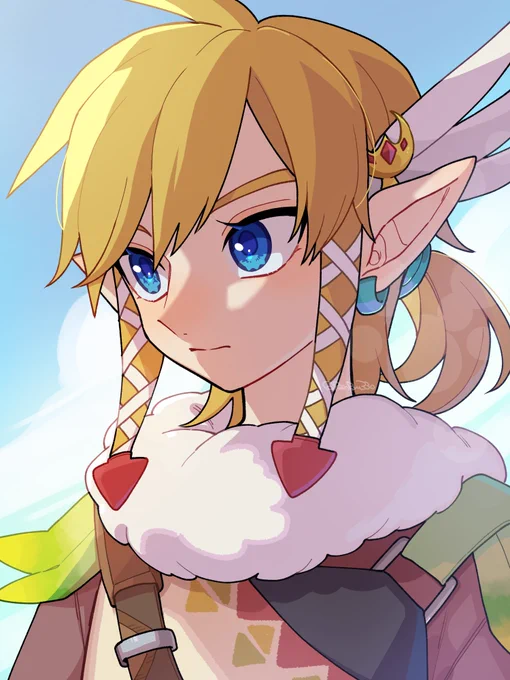 リトの羽毛服  #zelda #ゼルダの伝説