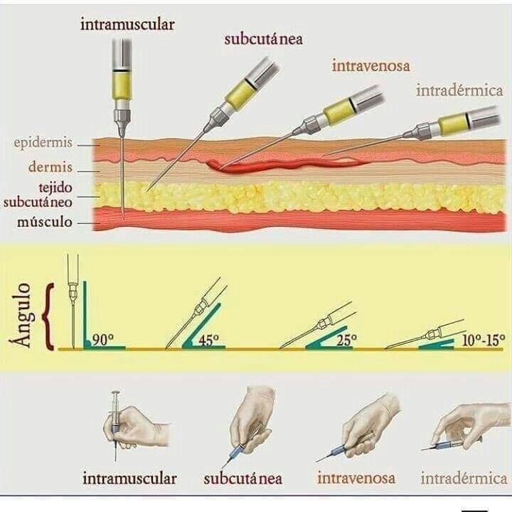 EnsedeCiencia's tweet image. La geometría y la medicina.