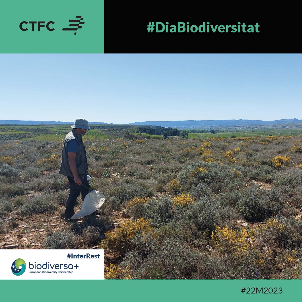 ctforestal's tweet photo. A la natura tot està connectat #InterRest @BiodiversaPlus estudia la interacció entre espècies en prats calcaris a🇪🇪🇩🇪🇪🇸per comprovar si la restauració d’aquests hàbitats comporta interaccions més estables i complexes entre les espècies de plantes, pol·linitzadors i #ocells🌿🐝🐦 https://t.co/qmoCuFktaE