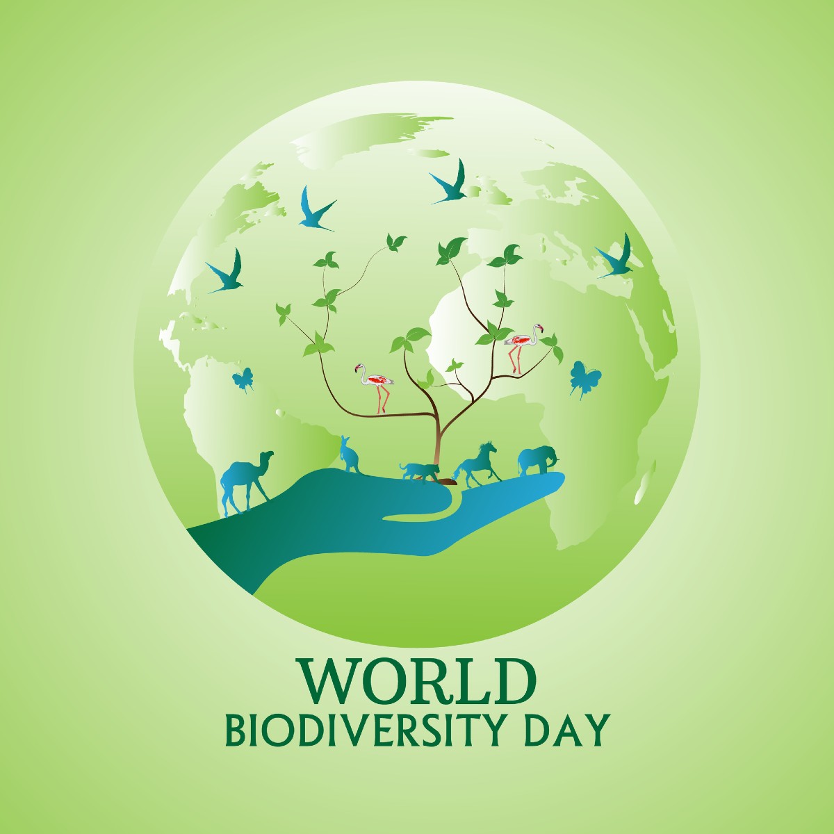 Lu😍 (@lusa_luu) on Twitter photo Celebrating #InternationalBiodiversityDay We can make a positive impact by promoting sustainable climate smart practices... there's so much life that surrounds us that we have to cherish and protect. #WorldBiodiversityDay
<a href="/ZCCN_Official/">Zambia Climate Change Network</a>
<a href="/PACJA1/">PACJA</a>
<a href="/PacjaU/">PACJA UGANDA</a> Celebrating #InternationalBiodiversityDay We can make a positive impact by promoting sustainable climate smart practices... there's so much life that surrounds us that we have to cherish and protect. #WorldBiodiversityDay
<a href="/ZCCN_Official/">Zambia Climate Change Network</a>
<a href="/PACJA1/">PACJA</a>
<a href="/PacjaU/">PACJA UGANDA</a>